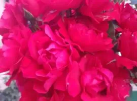 Gîte pres de Giverny