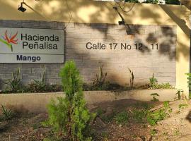 Hacienda Peñalisa Mango，位于里考尔特的酒店