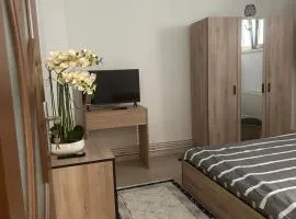 Apartament Baba Novac