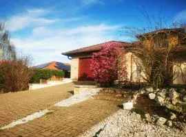 M3 green Oasis deluxe