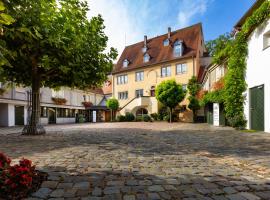 Hotel & Spa A la cour d'Alsace by HappyCulture，位于奥贝奈的酒店