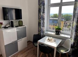 Apartamenty Stare Miasto Retro，位于新松奇的酒店