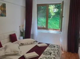 Garsoniera Flori - Sinaia