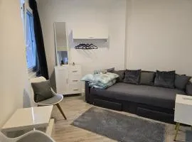 Apartment in Krefeld City with Balcony