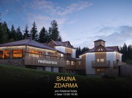 Ski & Spa hotel BELLEVUE，位于哈拉霍夫的酒店