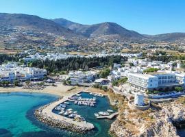 Pandrossos Hotel，位于帕罗奇亚的酒店