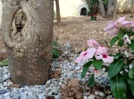 Gogo house in Faro Avlida