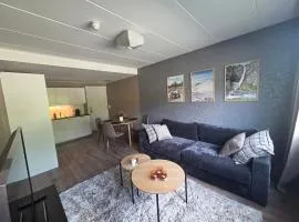 Oppdal Sentrum Apartment - vasking, sengetoy og haandklær er inkludert
