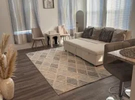 Cozy Contemporary Condo