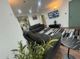 A cozy and spacious apartment