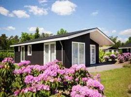 Chalet in Netherlands by Scenic Pond