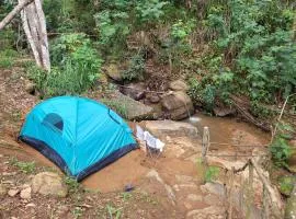 Ramboda Jungle Resorts