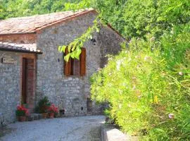 Apartment in Montieri - Toskana 38264