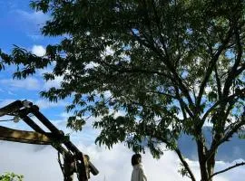 Lofi Homestay Tà Xùa