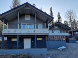 Villa Magnolia 2 Himos，位于耶姆赛的酒店