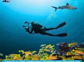 Liberty Guesthouse Maldives，位于Mahibadhoo的酒店
