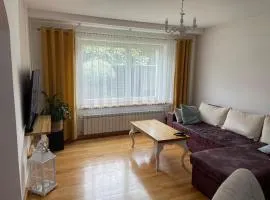 Prywatny DOM z ogrodem w centrum CEKCYNA