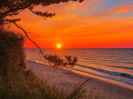 Domki Nad Morzem IDPB，位于贡斯基的酒店