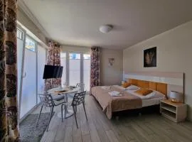 Apartament Czarna Góra 20