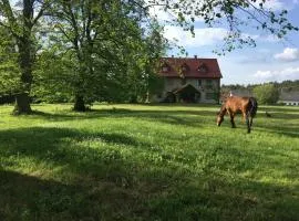 Polanka Agroturystyka i Konie