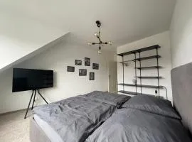Zentrales hochwertiges Apartment Thomasius