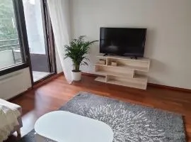Spacious 3-room stay near Airport