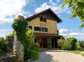 Vineyard cottage Rustika