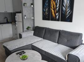 Apartman Dioniz Fojnica，位于福伊尼察的酒店