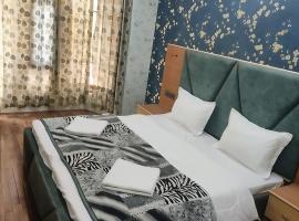 Hotel Indra，位于斯利那加谢赫·UL·阿拉姆国际机场 - SXR附近的酒店