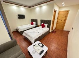 Decent Luxury Hotel Hunza，位于Alīābād的带停车场的酒店