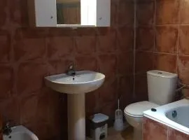 La casa de los gatos