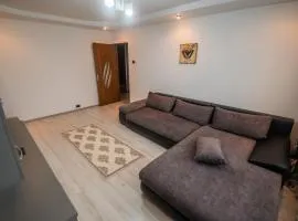 Central Apartament Fălticeni