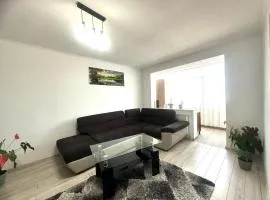Mountain View Muscel Apartment