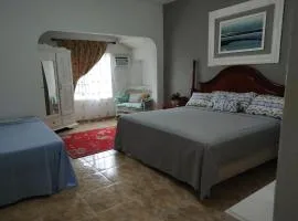 Destiny Palms Apt