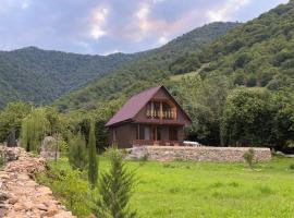 Pankisi Wooden Cottage，位于Akhmeta的酒店