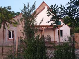 Le Gîte de la ferme Davitali，位于圣迪兹尔的酒店