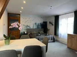 Apartmán Turista