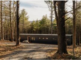 100ft of Forest Light - Modern Catskills Escape，位于Round Top的酒店