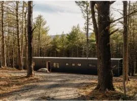 100ft of Forest Light - Modern Catskills Escape