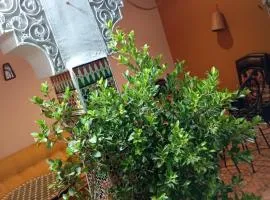 Riad Sun Medina Terrace