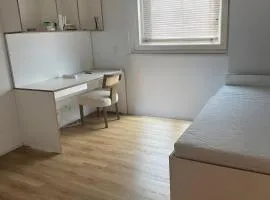 Modernes 1 Zimmer Apartment