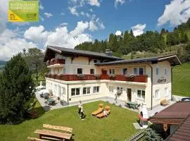 Apartment in Mittersill with swimming pool