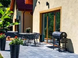 Dom w Karkonoszach 2