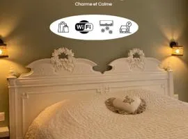 La maison Virginie 1 à 2 pers charmant central-parking gratuit- linge- fibre- proximité port lac canal piscine