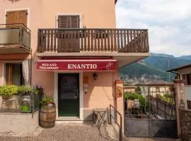 b&b Enantio