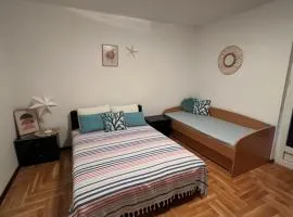 Komforan studio u centru grada