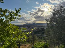 Forma Alta 59 Vineyard Reserve，位于Avenza的酒店