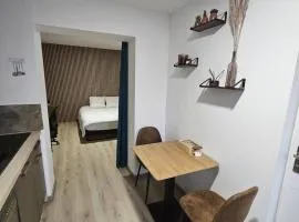 Cosy T1 au 14B avec Climatisation et Parking