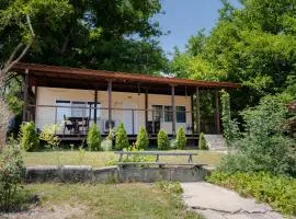 The Walnut Nest in Krasen