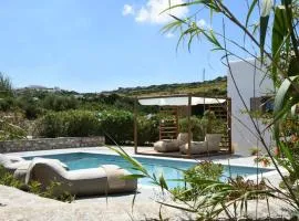 Executive Paros Villa Villa Aiolos Private Pool & Jacuzzi Villa Kostos